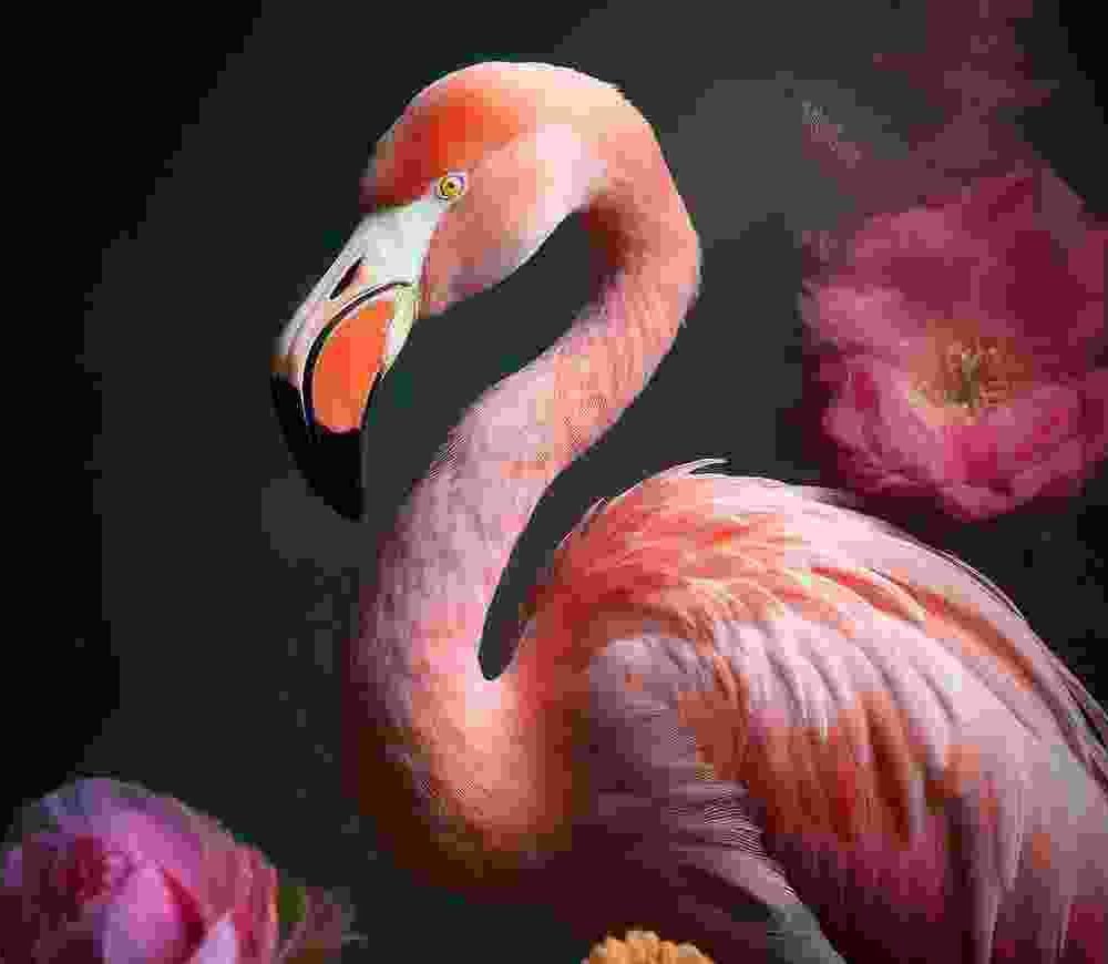 Shop Primary Image Shop Primary Image